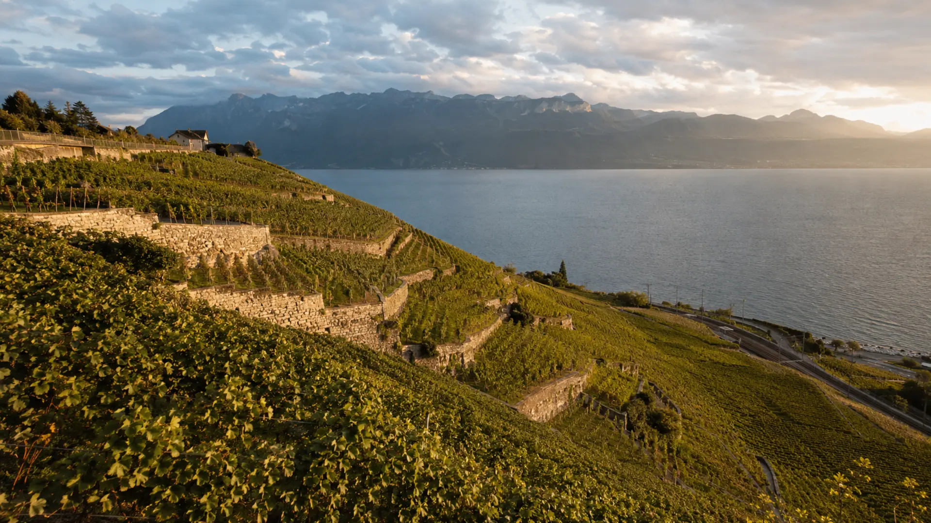 Accord de pierre solaire de Lavaux