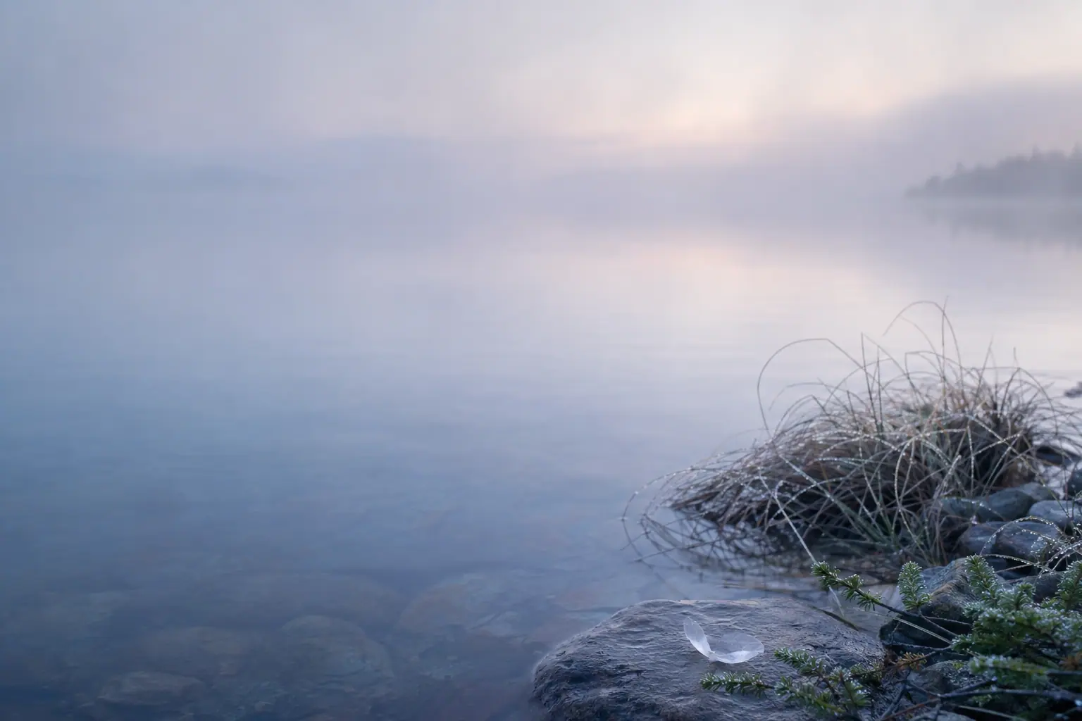 Brume du Léman