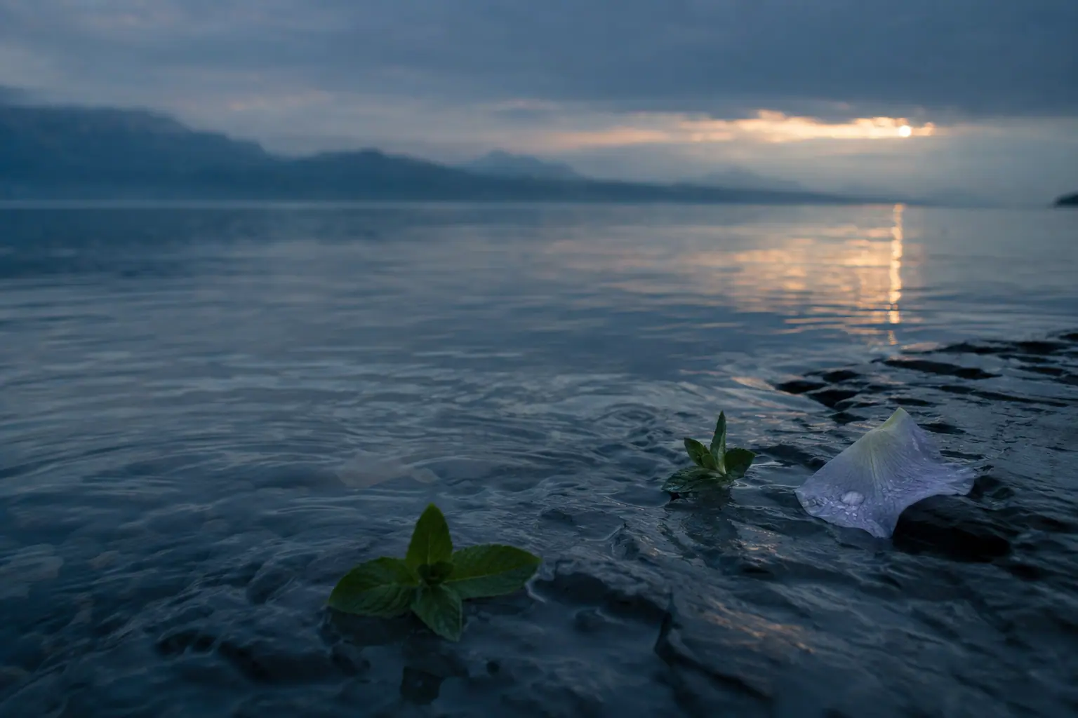 Secret du Léman