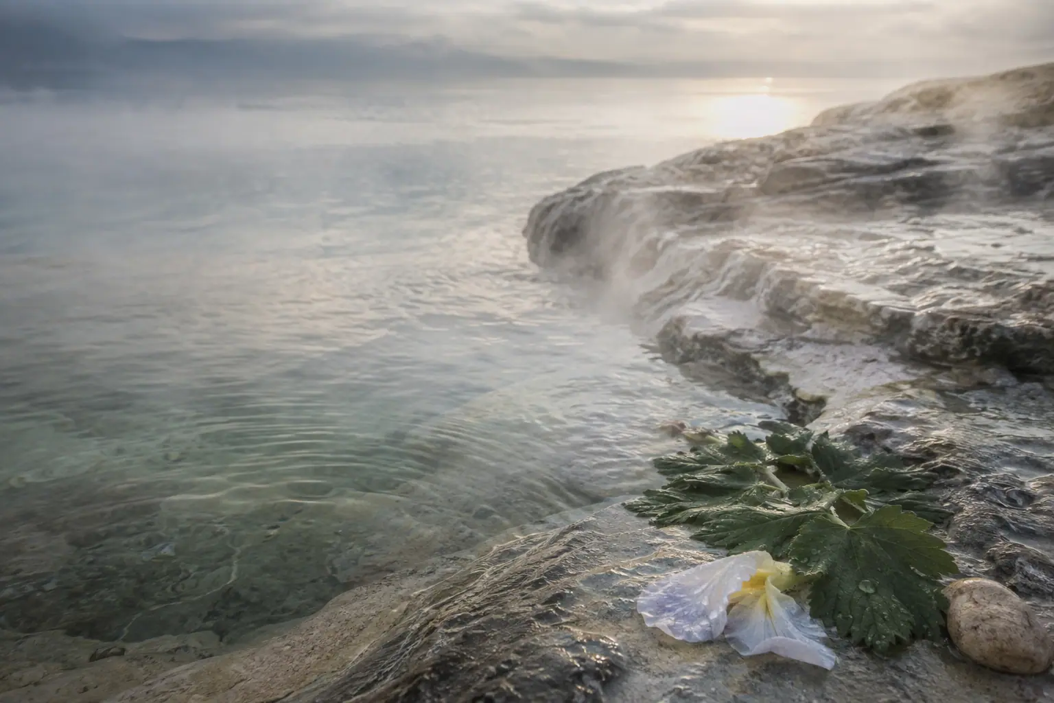 Thermes du Léman